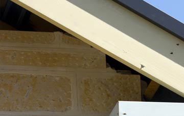 soffit repair Twenties